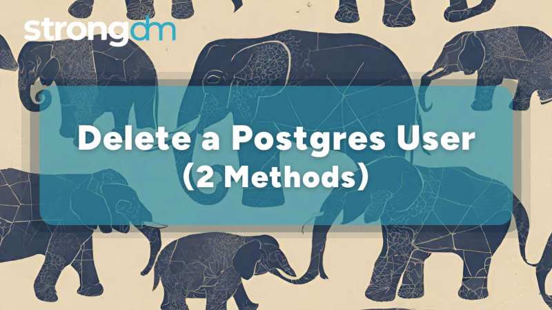 Create User Roles In Posgres Tutorial In Nepali Postgres Basic - Ultra HD Light Pattern - Desktop