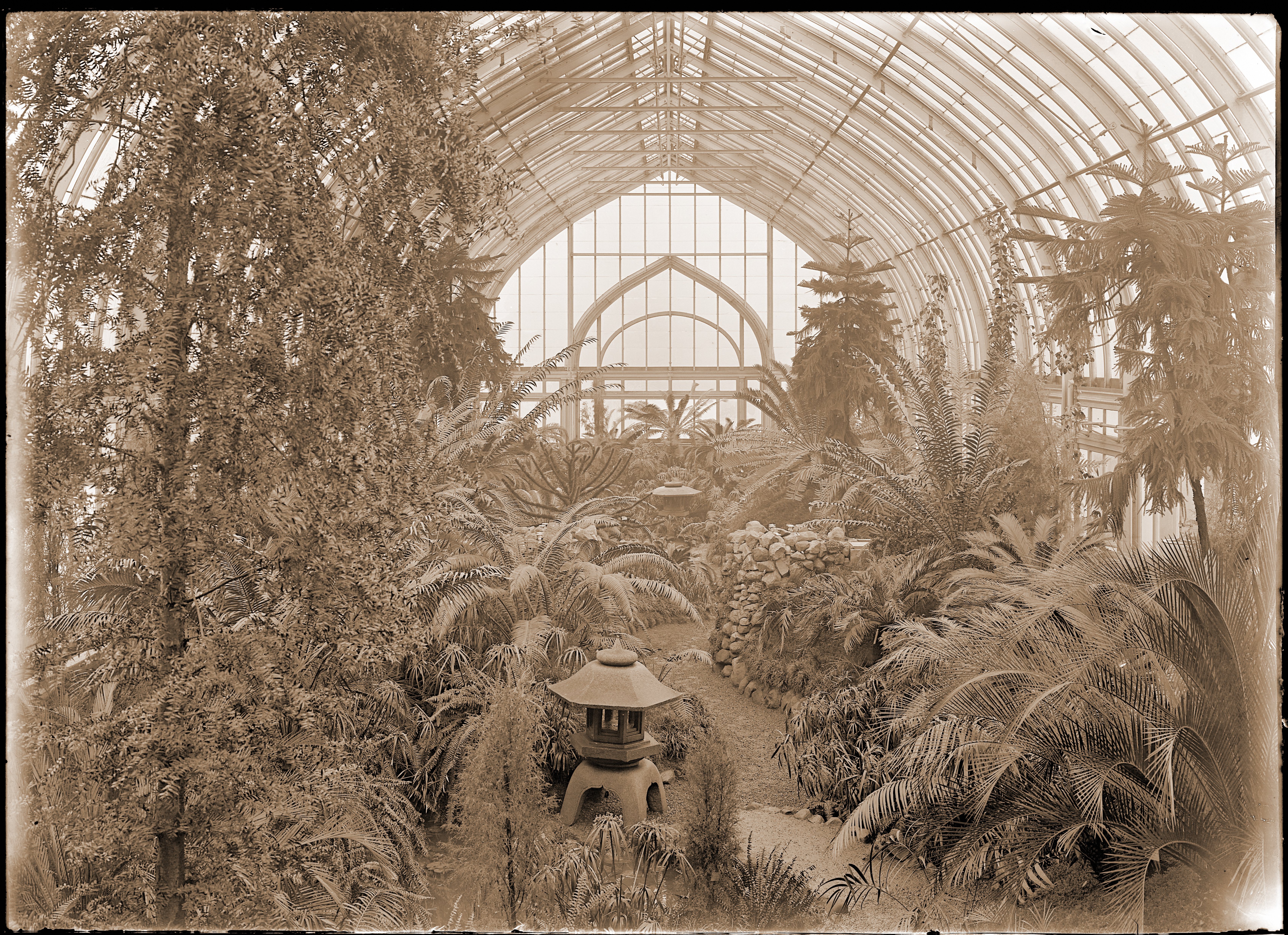 A Yukimi Lantern used for decoration in the Cycad House in 1915.