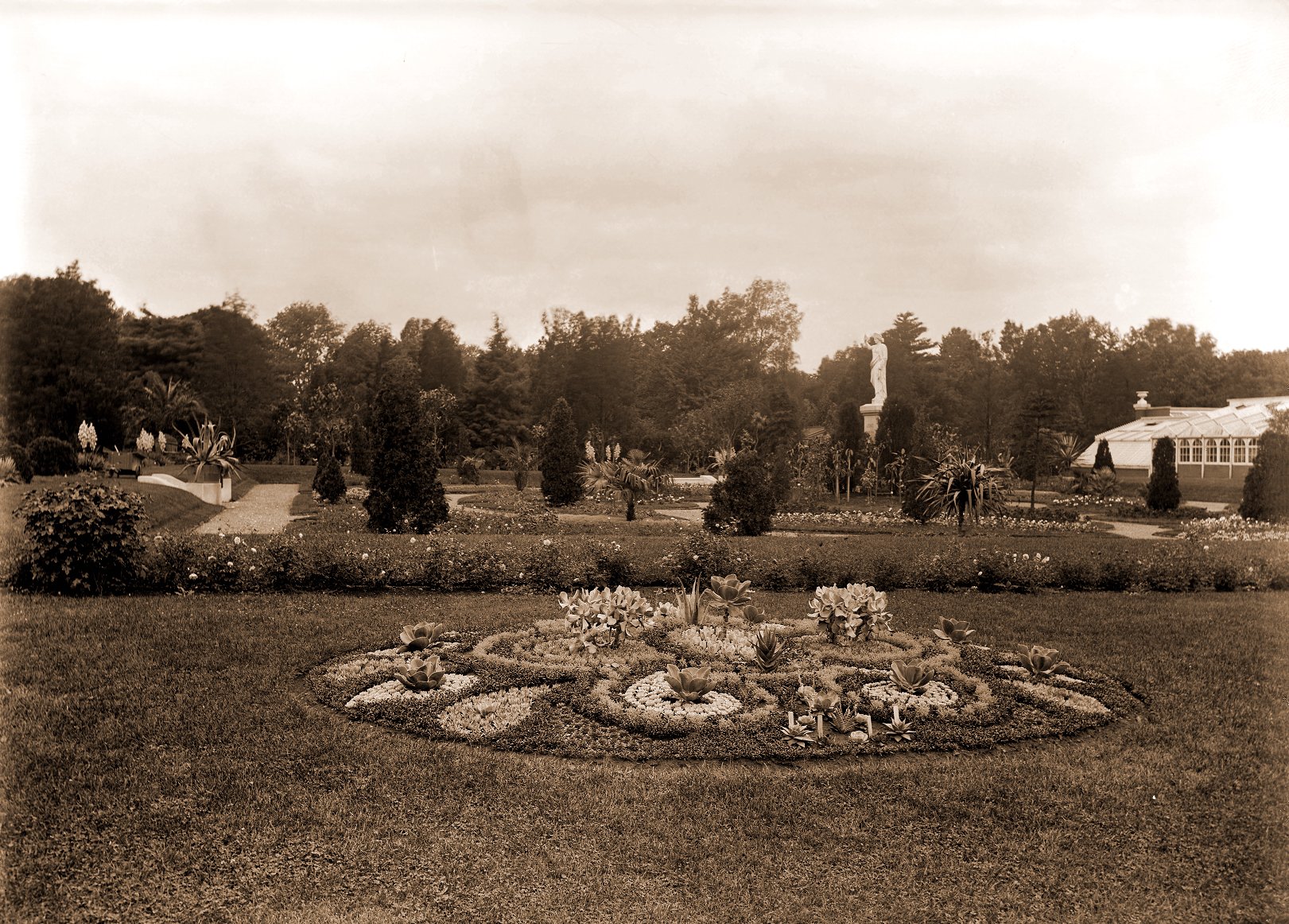 Succulents in formal bed. Juno and main greenhouse range-west end visible.
