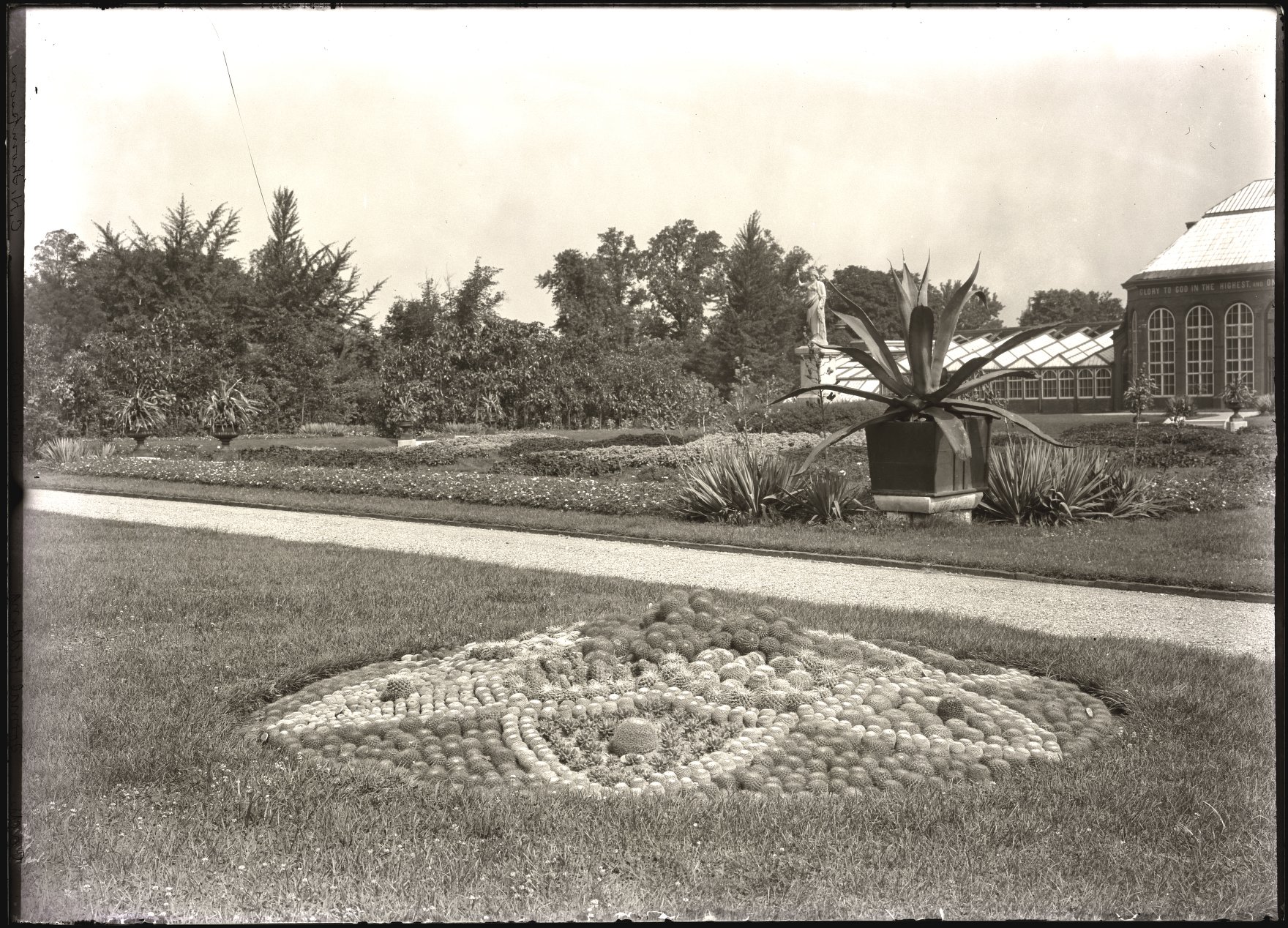 A pincushion garden at the Garden in July 1905