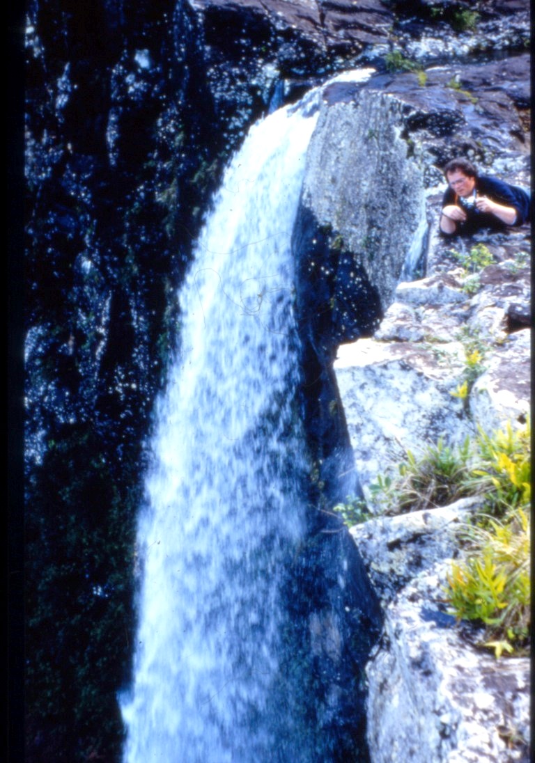 Dr. Peter Wyse Jackson looks over the edge of Cascade Pieds 500 in the 1980's. Dr. Wyse Jackson would collect seed used for propagation in botanic gardens.