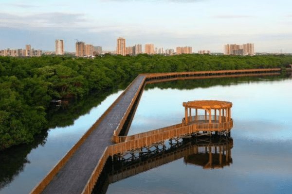 Ciénaga de Mallorquín Ecoparque