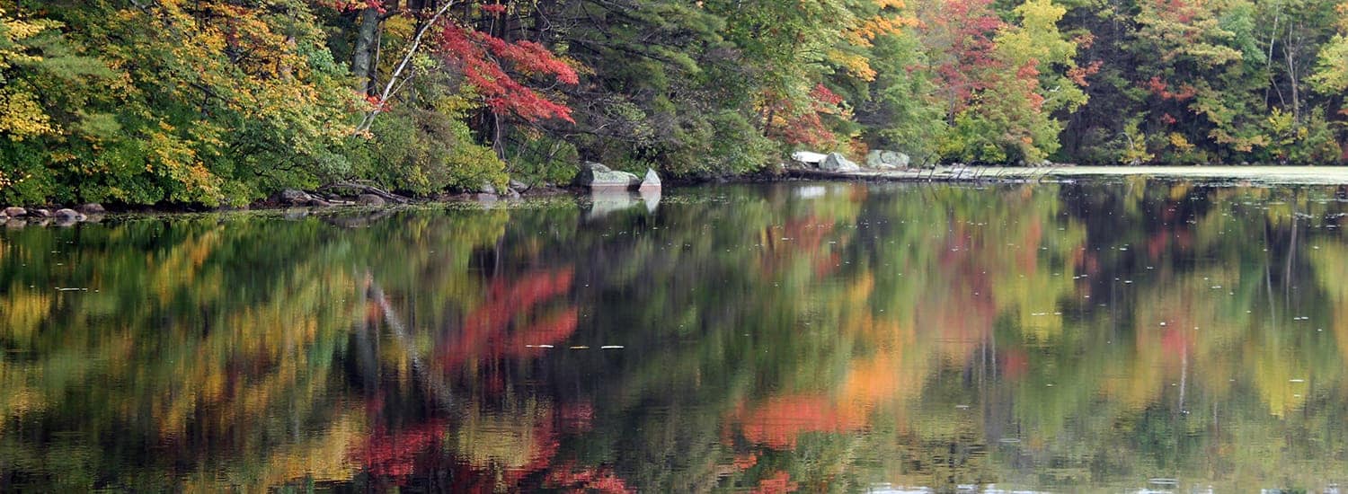 Fall on Cape Ann