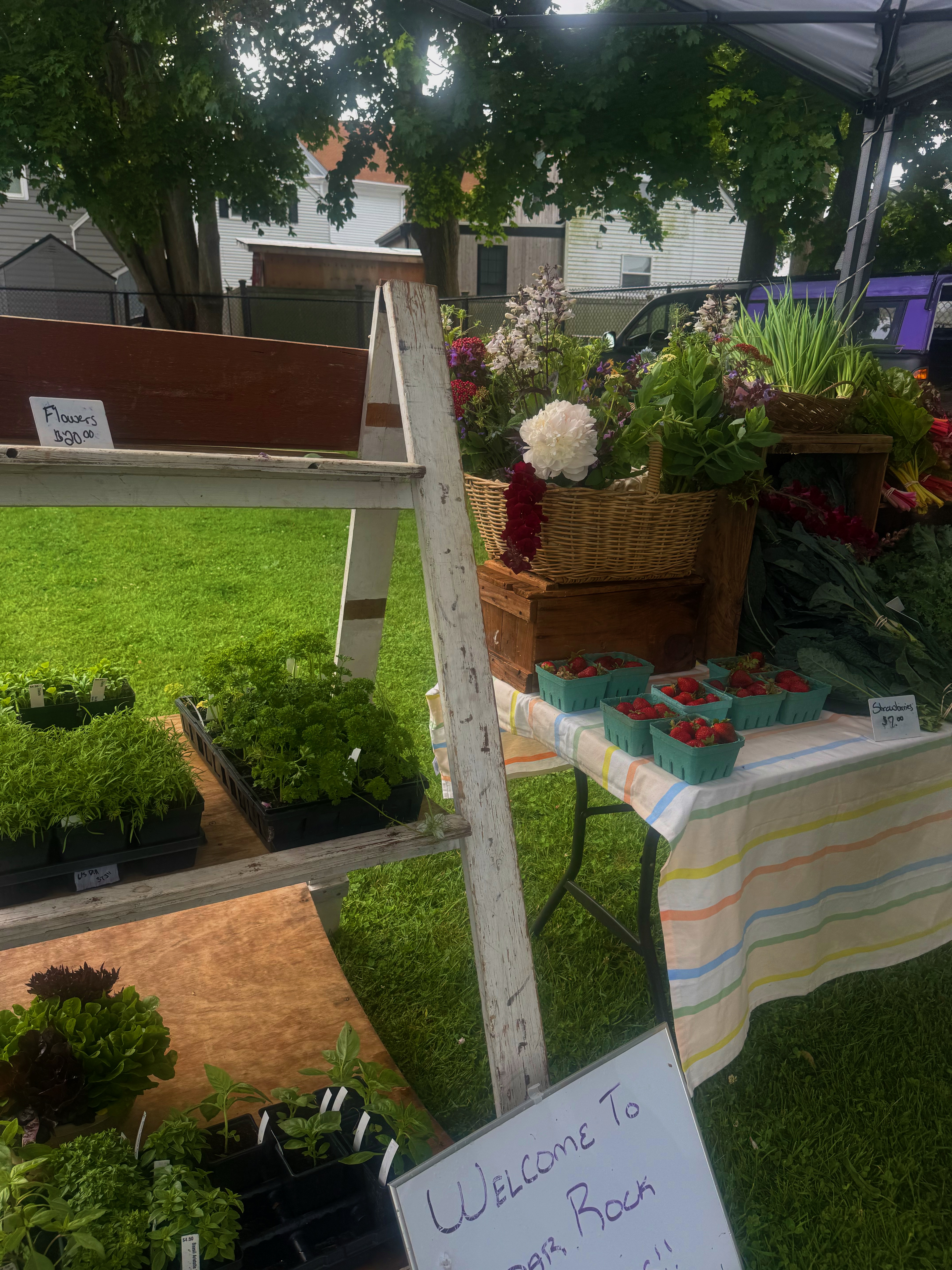 Backyard Growcery (1)