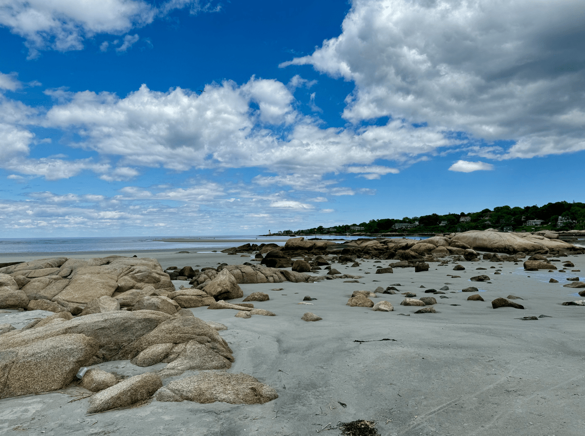 Wingaersheek-beach