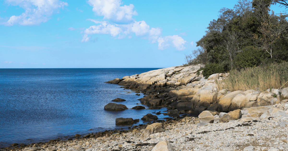 Folly Cove