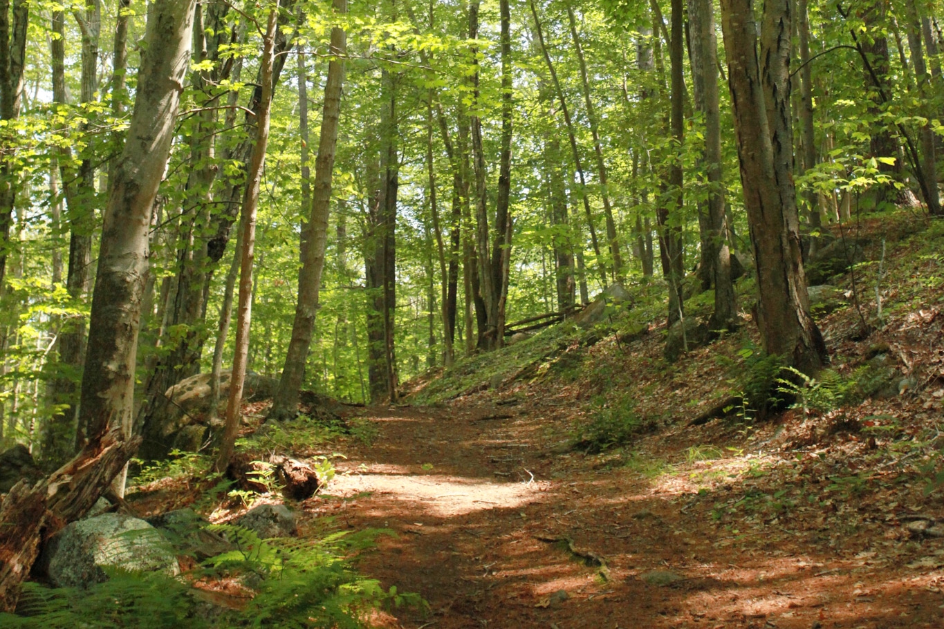 greenbelt