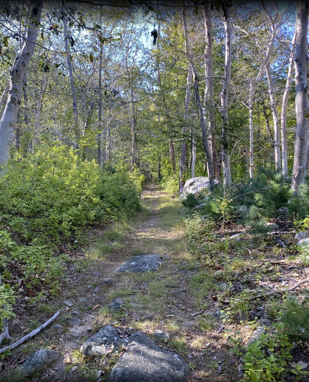 Ravenswood Park