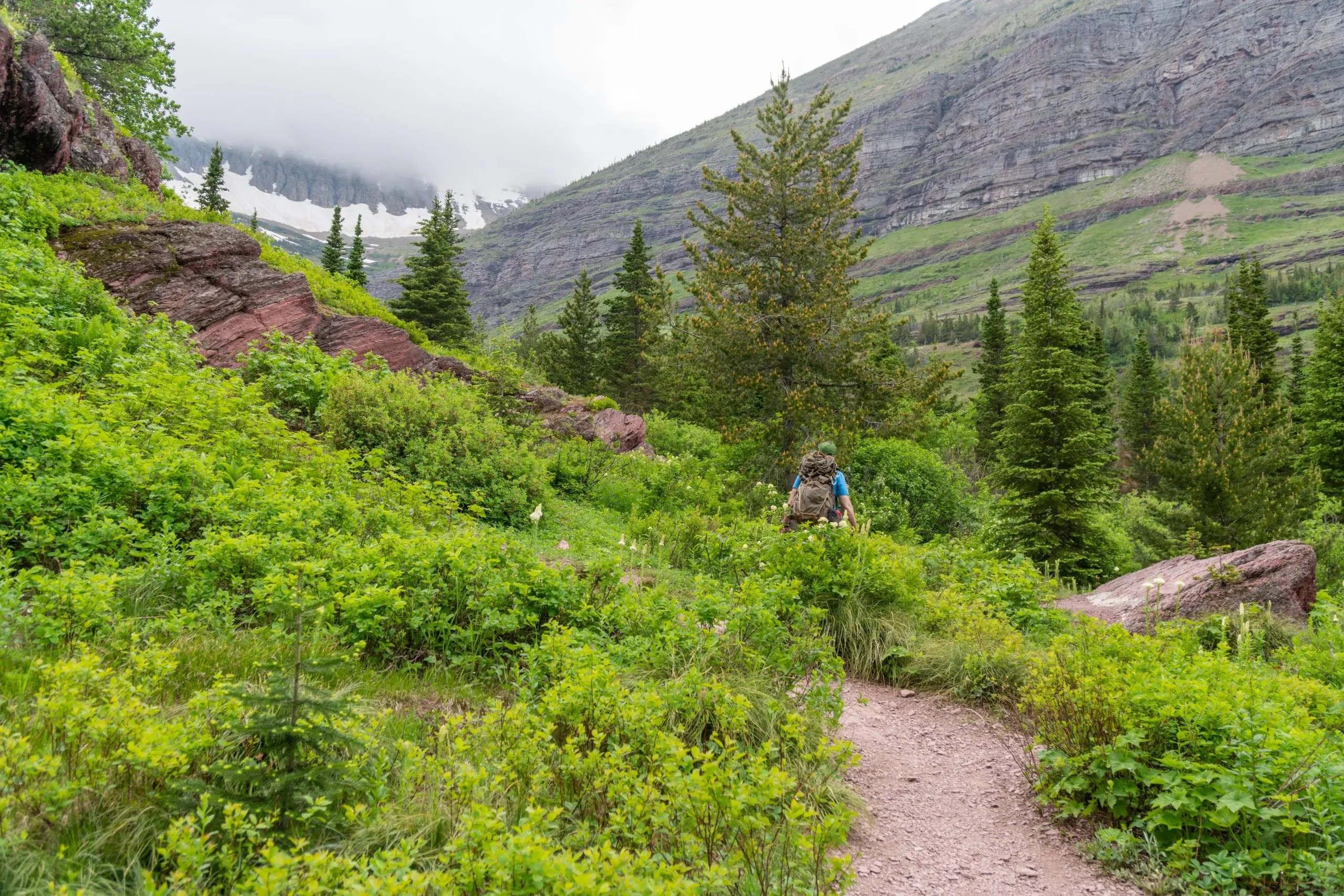 The Top 10 Hiking Trails In Montana Discovering Montana Pass Trail Scaled 