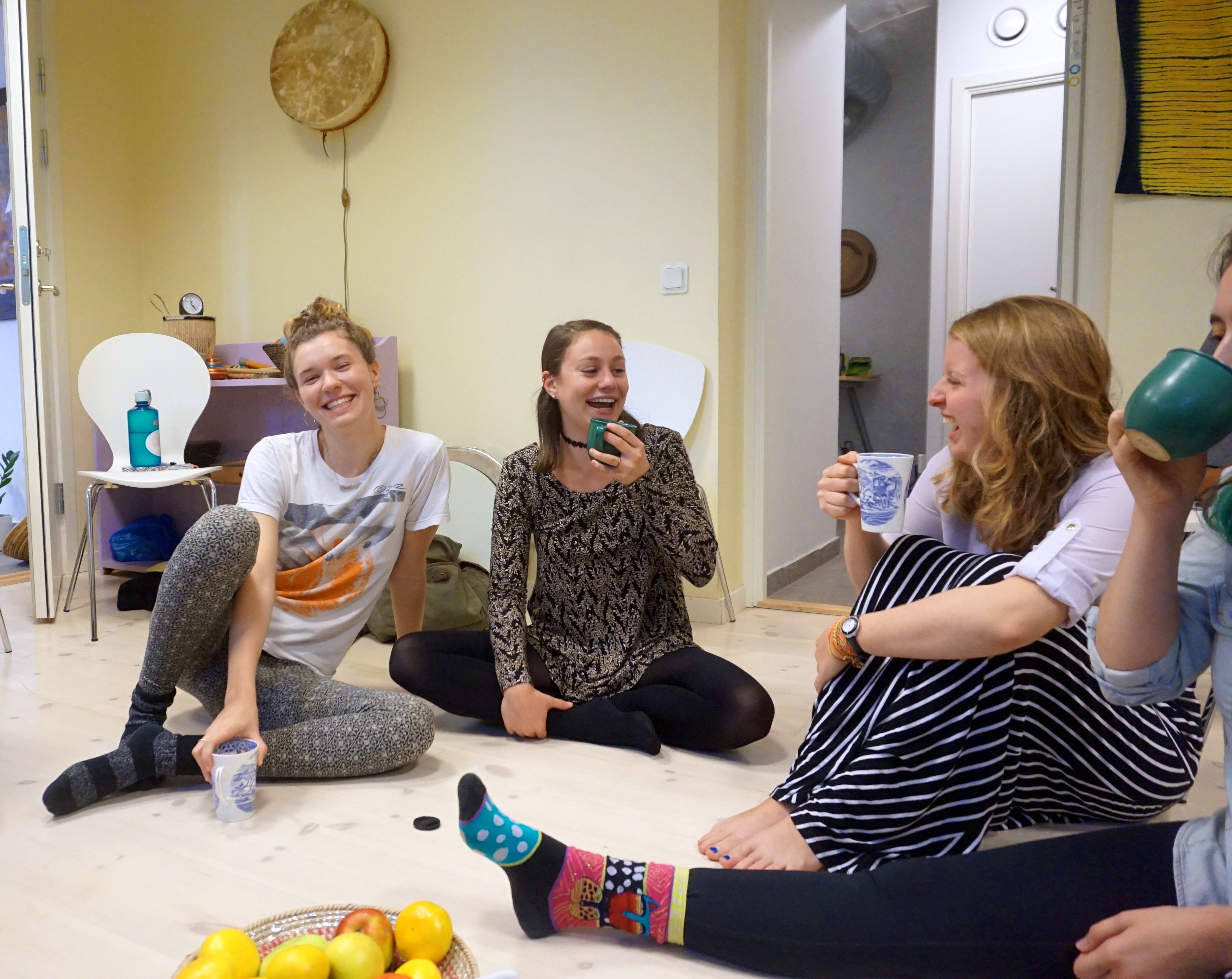 Some Thoughts from My Fellow DIS Homestay Students – DISCOVER STUDY ABROAD