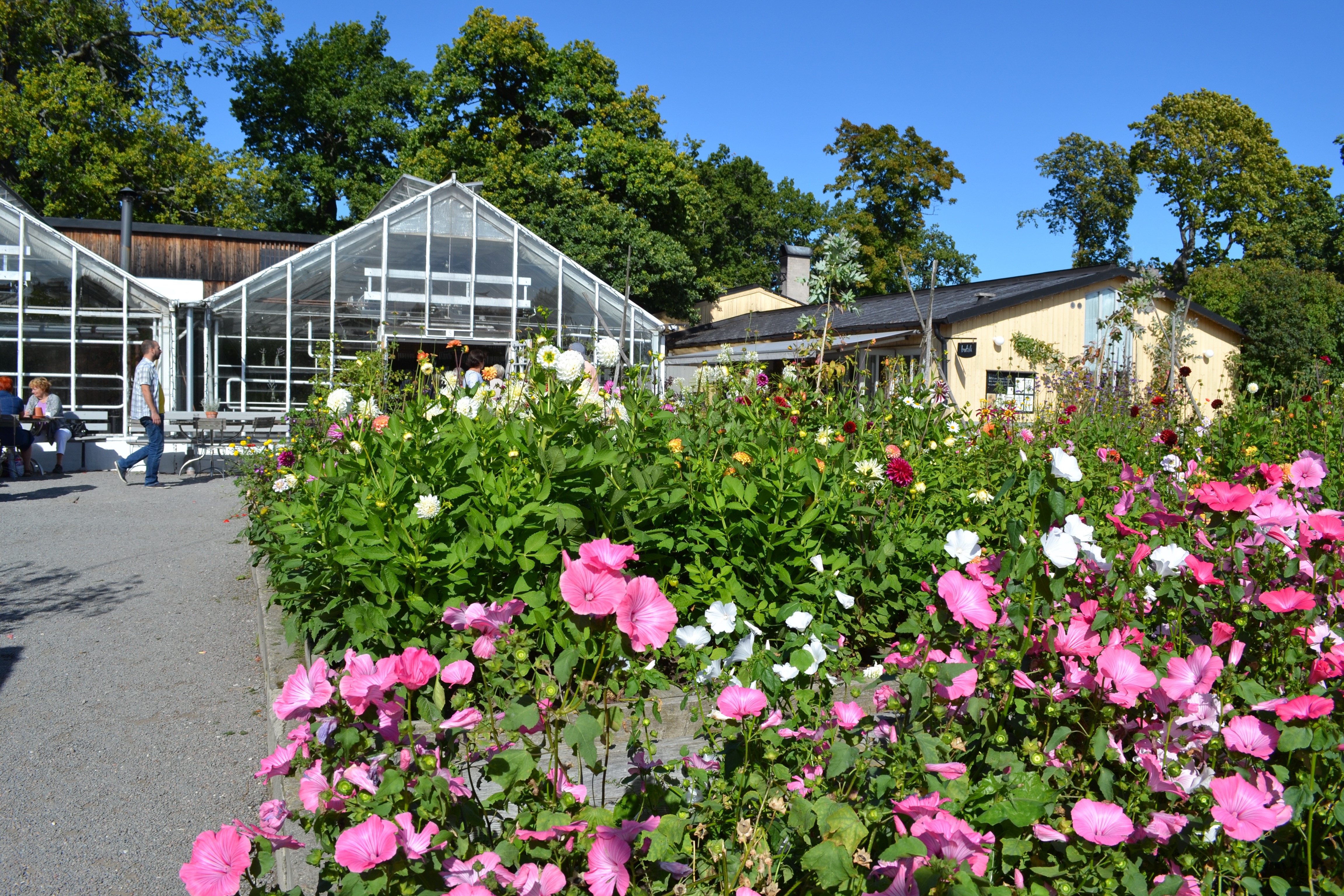 Where the greenhouse, cafe and bakeries are located