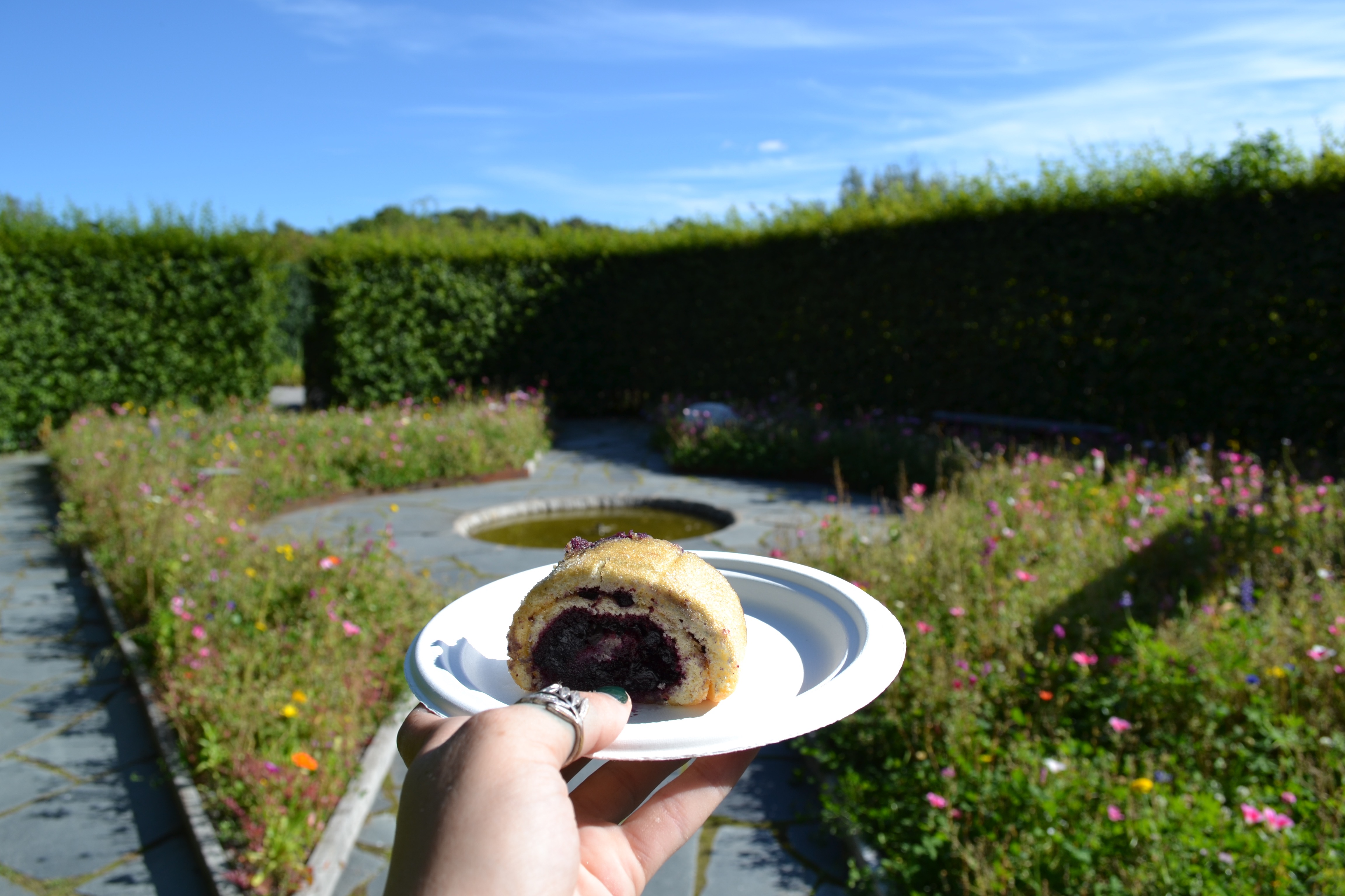 food in the air! blueberry cake from the cafe in one of the gardens