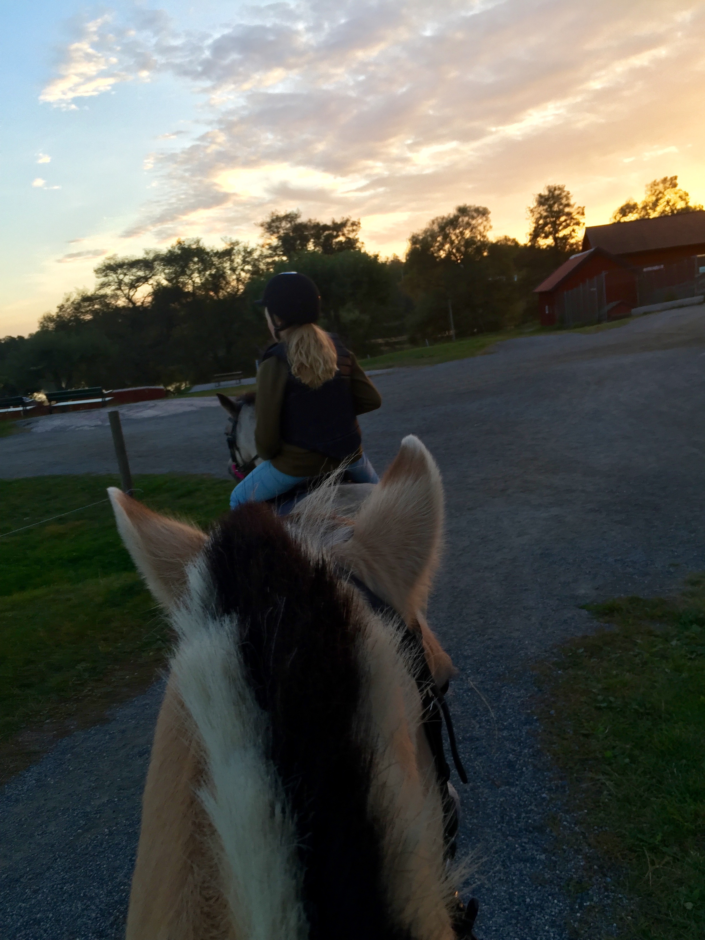 Me getting to ride with Ida at the beautiful farm!