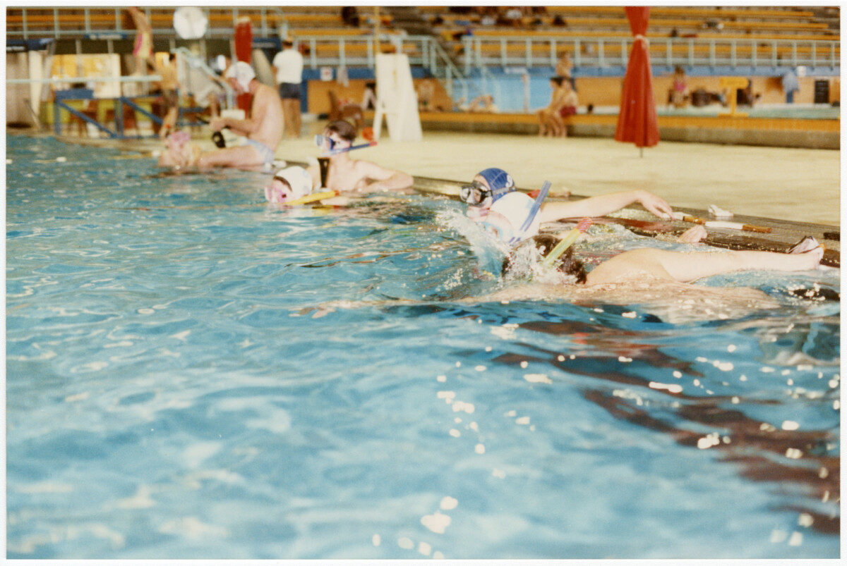 Swimmers At Qeii Swimming Pool Discoverywall Nz
