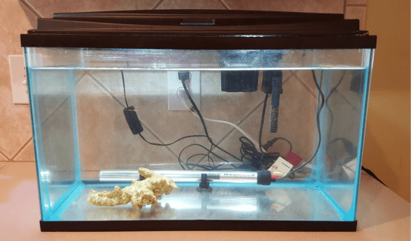 How To Set Up A Quarantine Tank Practical Fishkeeg Usually the instructions about using the medication are according to a 10-gallon tank.