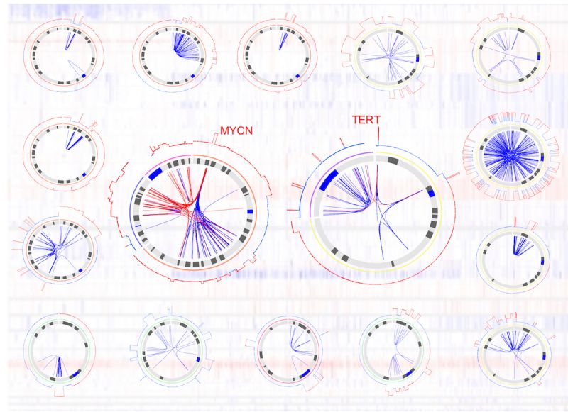 Somatic Structural Variation Burden Differs Among Neuroblastoma - Download Stunning Abstract Art | Ultra HD