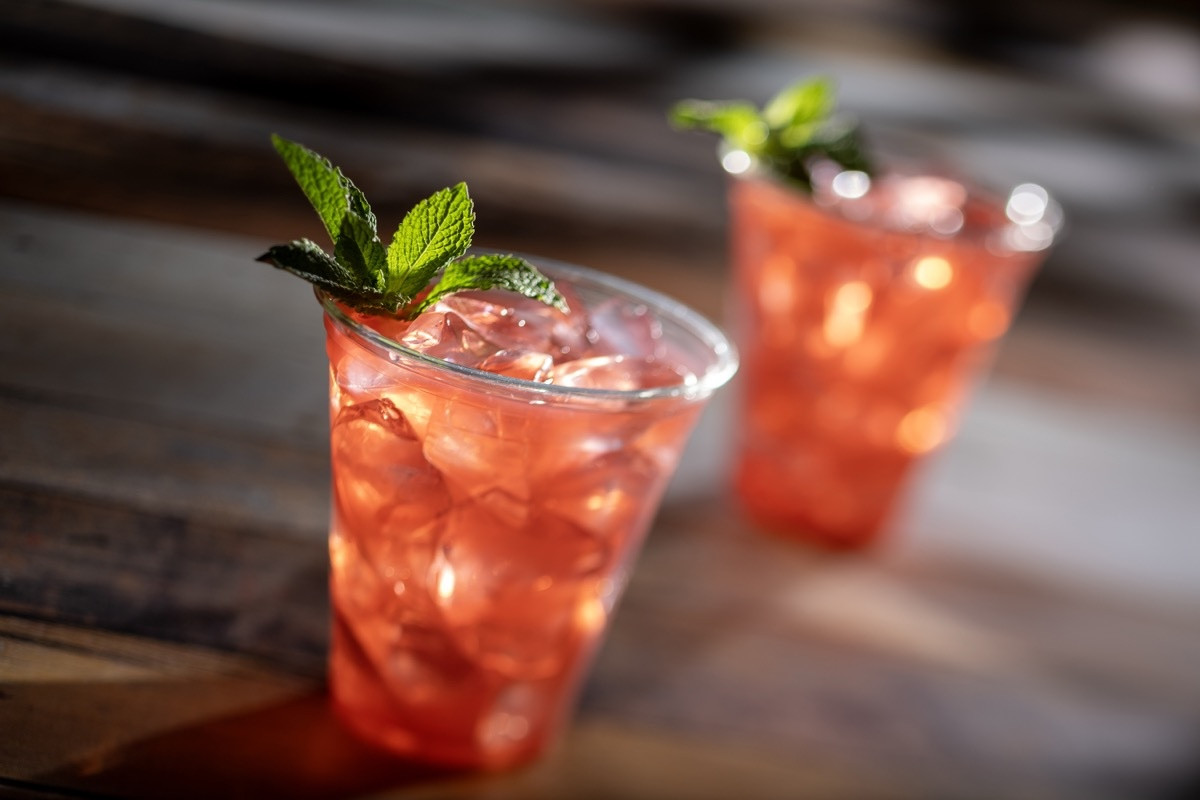 Food and Wine Festival Menus