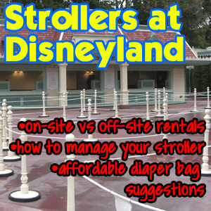 disneyland double stroller