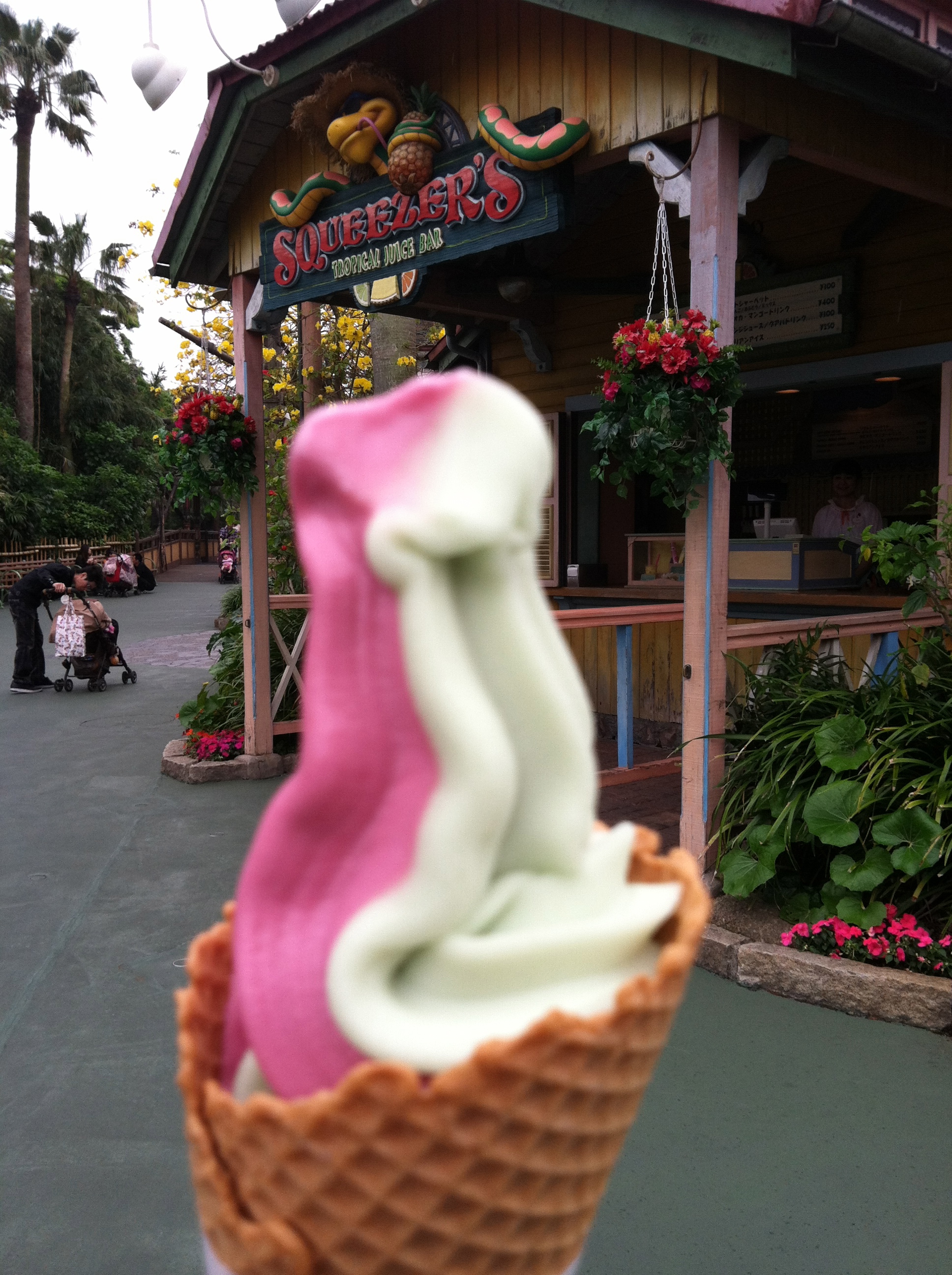 My favorite dessert! Sour apple and I think grape sherbet. It was just plain awesome! I loved it so much I had to take a lick before taking a picture.