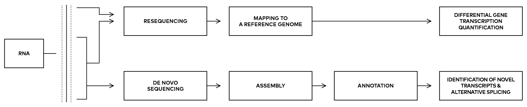 Explaining Dna Vs Rna Sequencing - High Resolution Gradient Pictures for Desktop