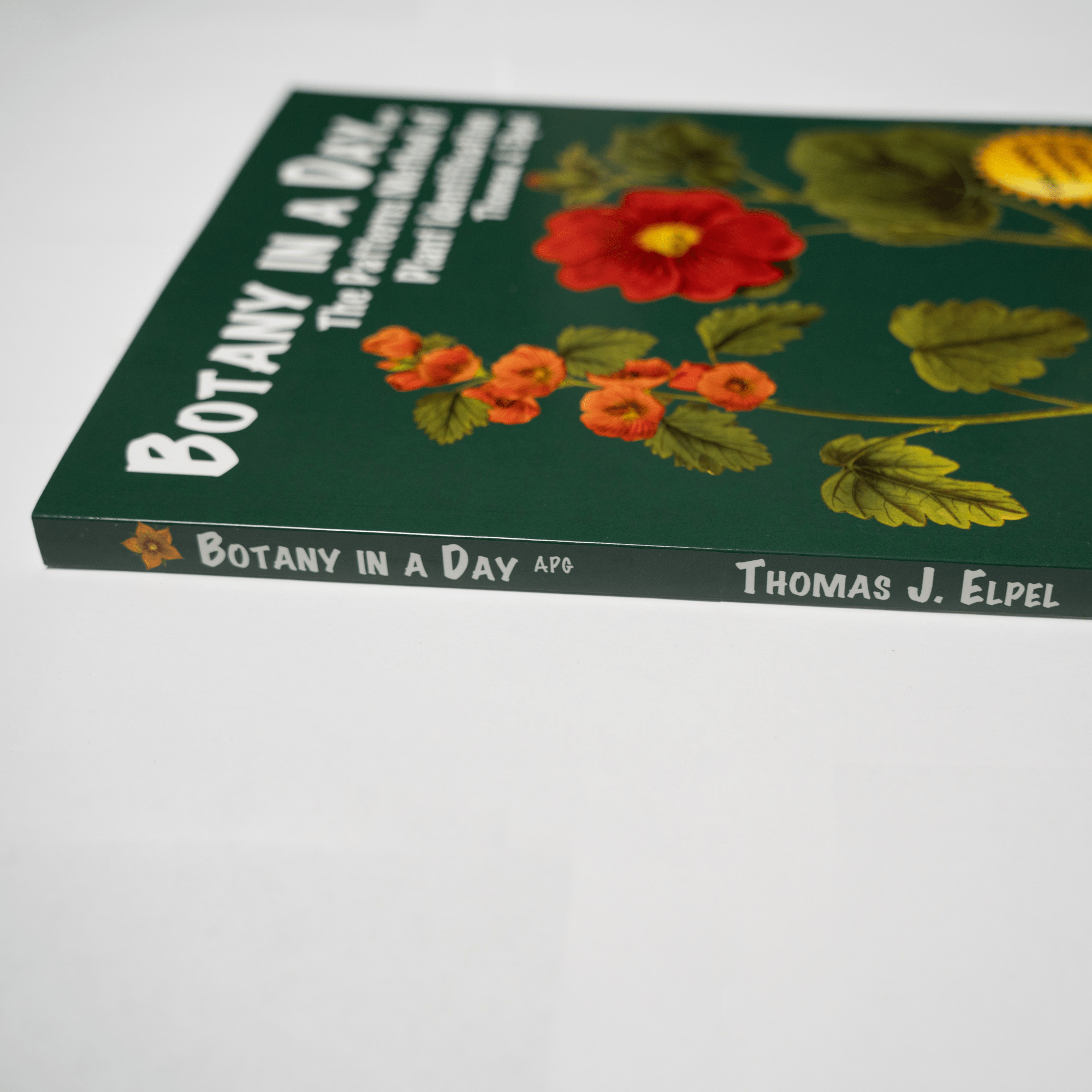 Botany In A Day - Image 2