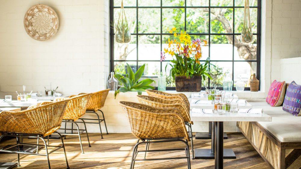 gracias madre | distantlocals.com