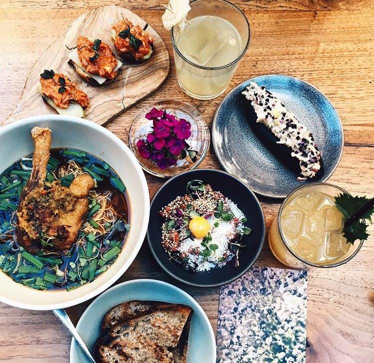 hinoki & the bird | distantlocals.com