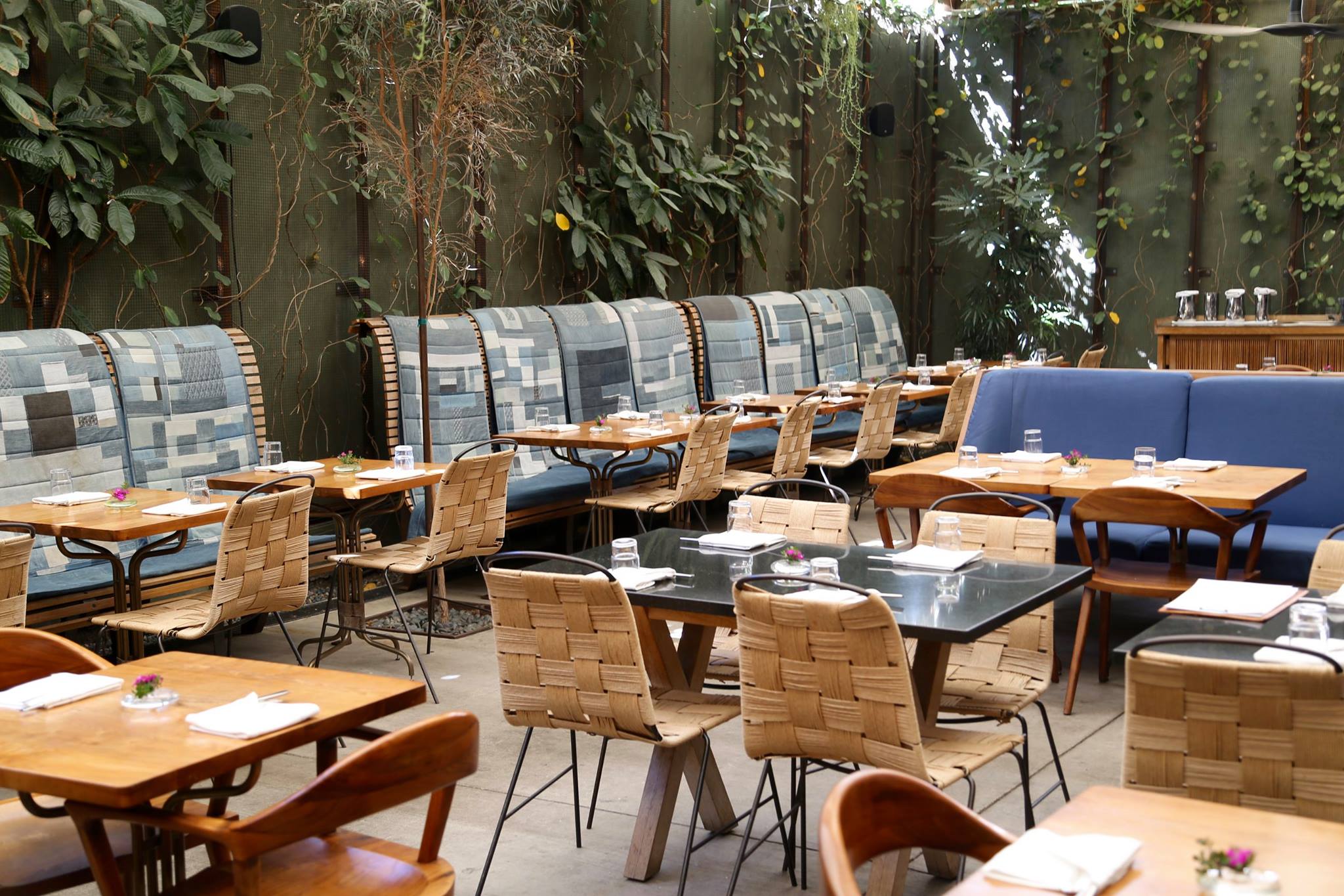 hinoki & the bird | distantlocals.com
