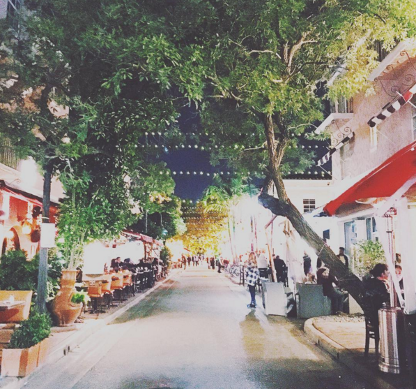 miami | distantlocals.com
