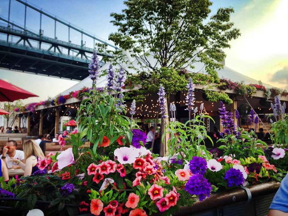 morgan's pier | distantlocals.com