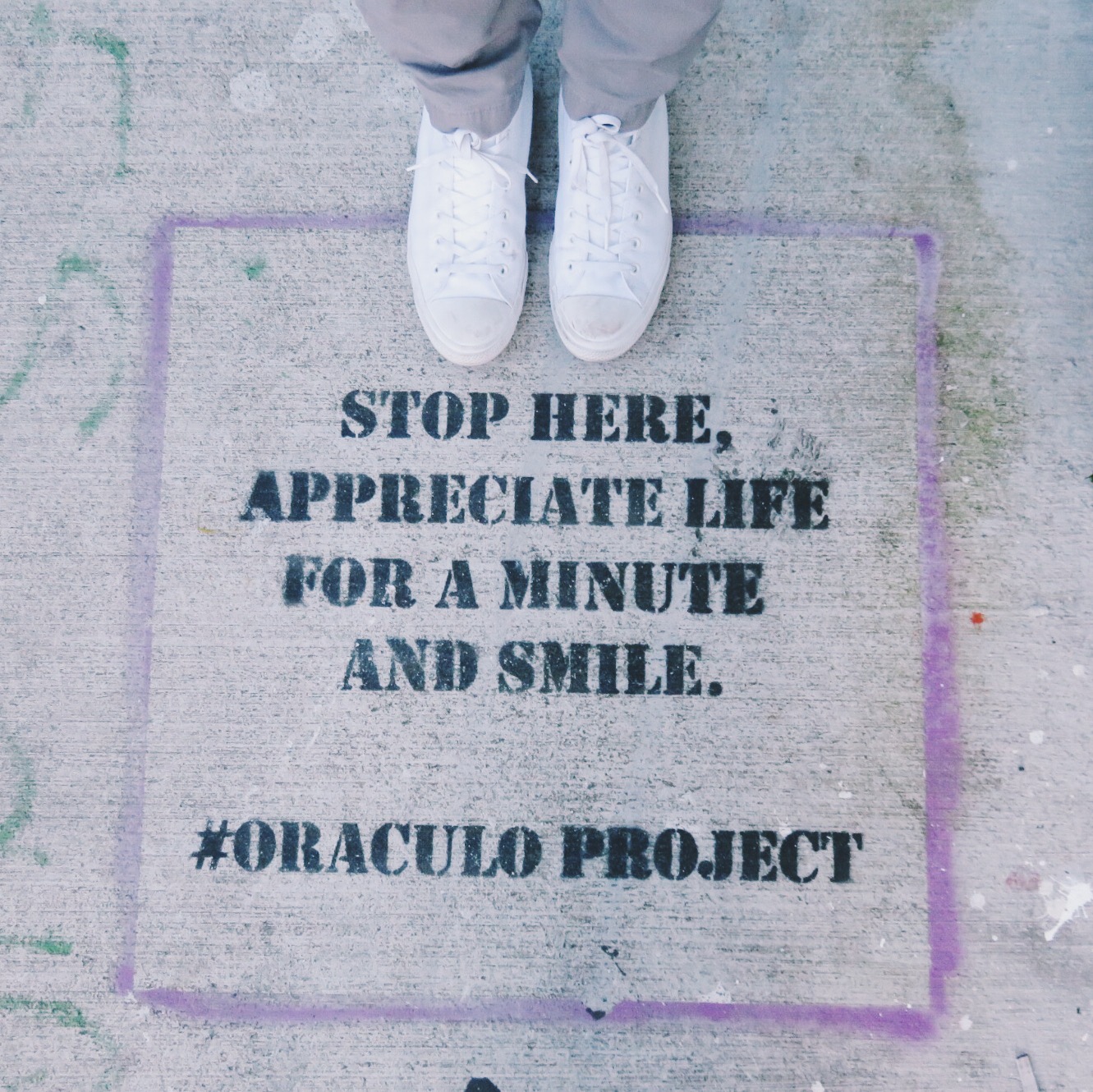 wynwood walls | distantlocals.com