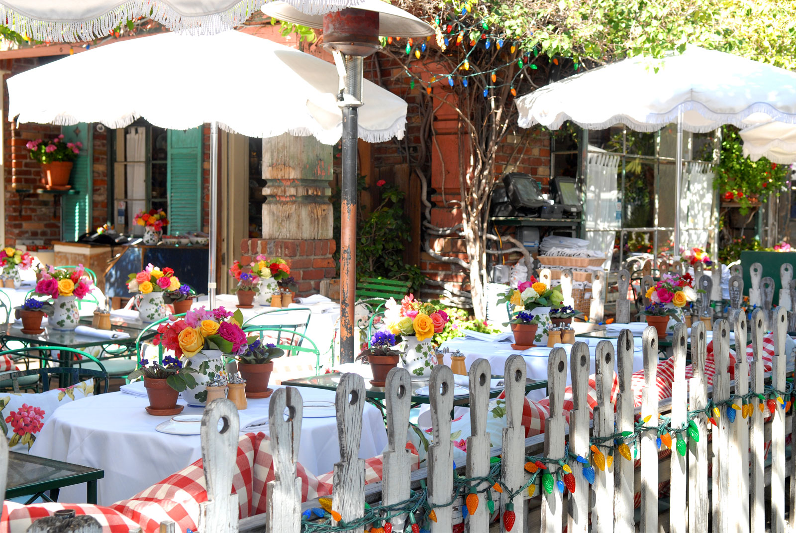 the ivy | distantlocals.com