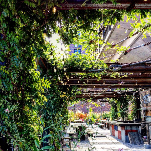independence beer garden | distantlocals.com