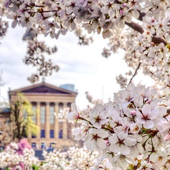 philadelphia museum of art | distantlocals.com