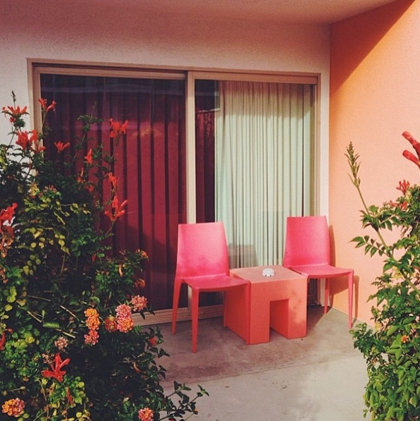 the saguaro | distantlocals.com