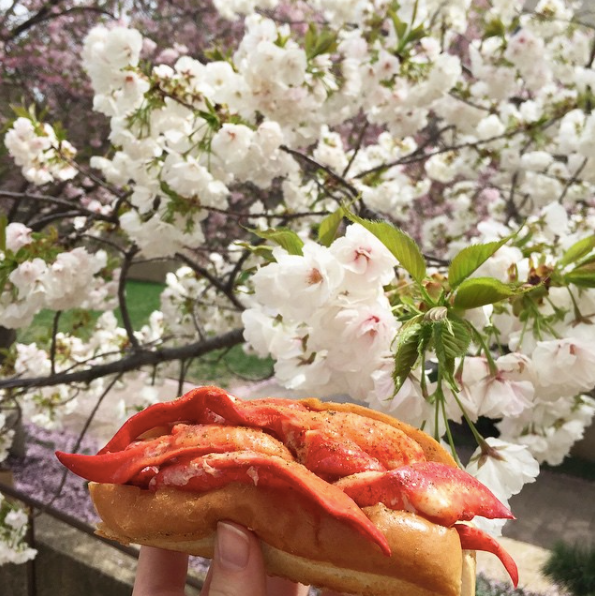 luke's lobster | distantlocals.com