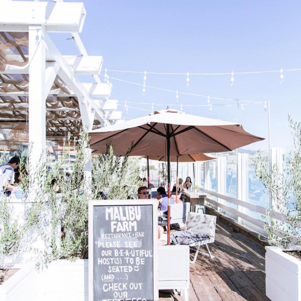 malibu farm | distantlocals.com