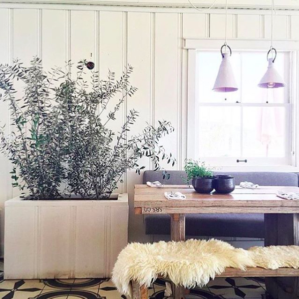 malibu farm | distantlocals.com