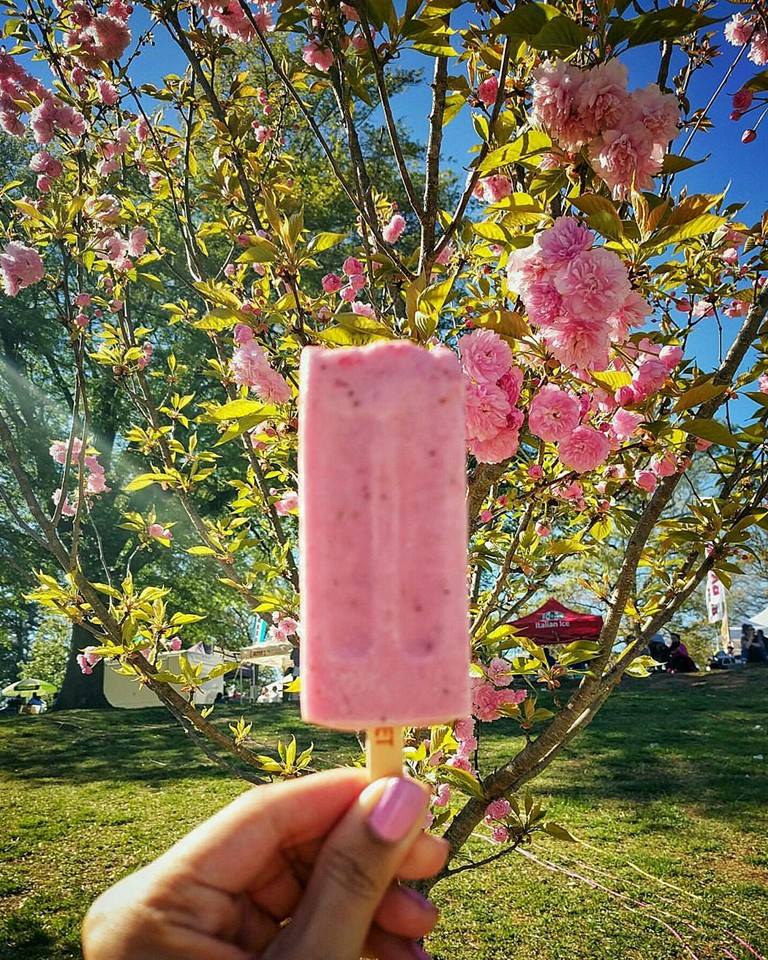 king of pops | distantlocals.com