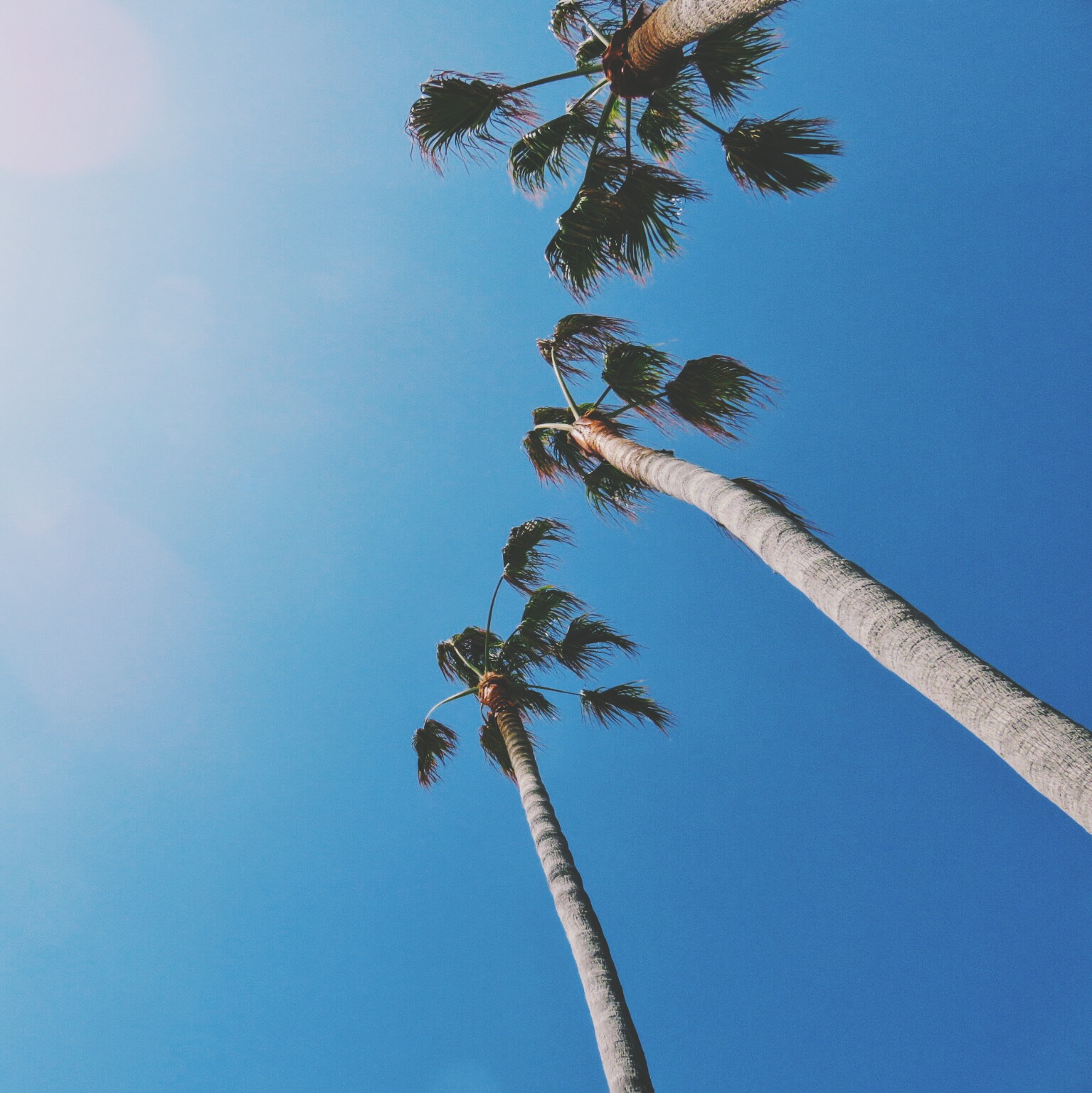 los angeles | distantlocals.com