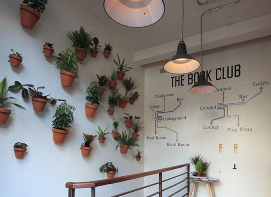 the book club | distantlocals.com