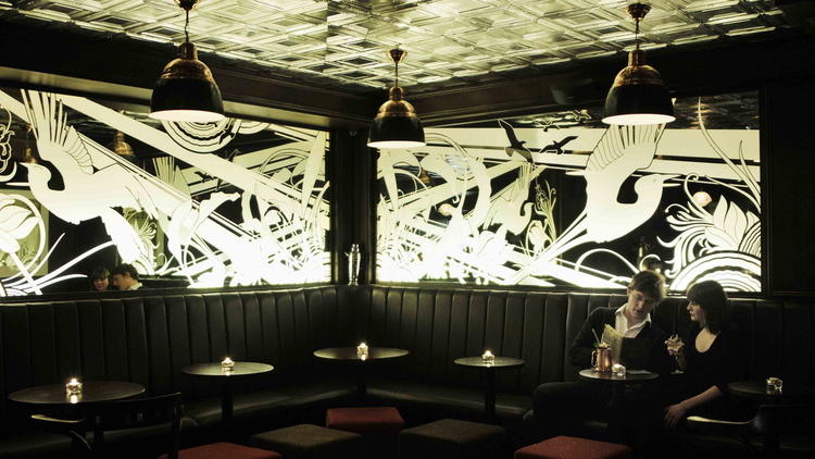 nightjar | distantlocals.com