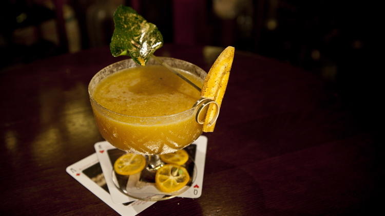 nightjar | distantlocals.com