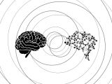 Exploring The Potential Of Convolutional Neural Networks Distillery