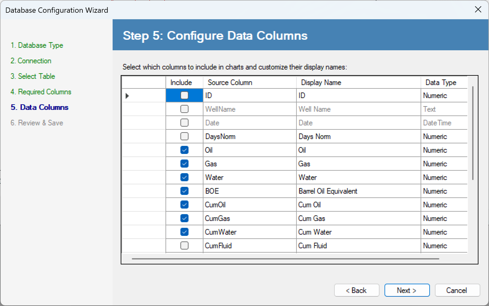 Wizard step five listing every candidate data column with an include checkbox, an editable display name and the detected data type.