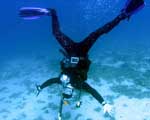 Master Scuba Diver