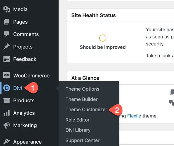 Import Customizer Settings Divi Extended Documentation - Minimal Pictures - Creative 8K Collection