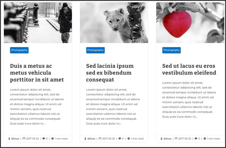 How To Change Position Of The Category In Block Extended Layout Divi Extended Documentation - Elegant Ultra HD Sunset Images | Free Download