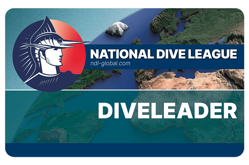 Divleader NDL
