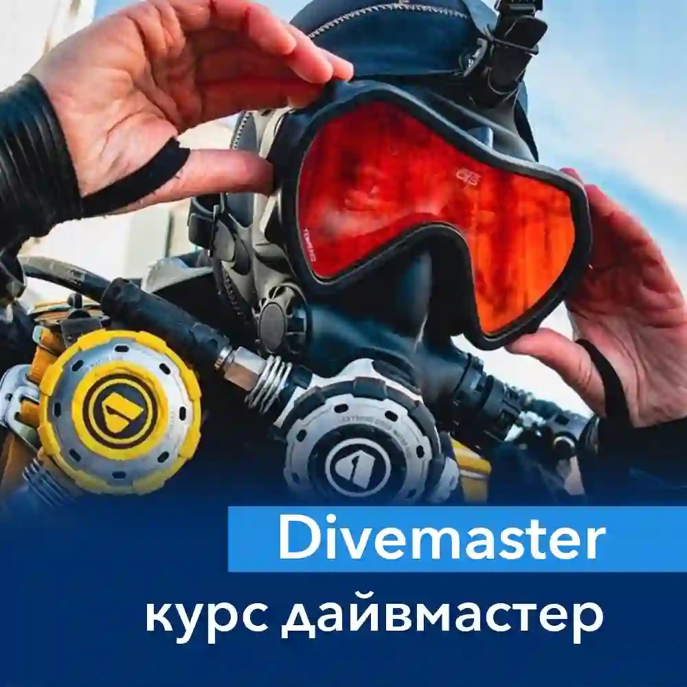 Курс Дайвмастер (Divemaster)